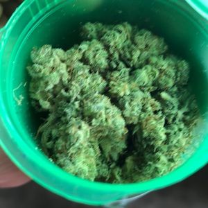 Meet your Posher, Jesse